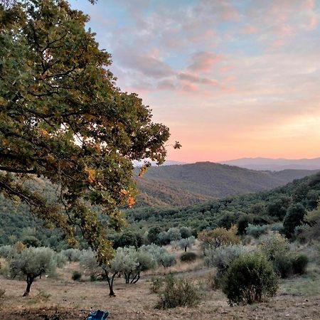 Nocini Di Maremma Villa Tatti Luaran gambar