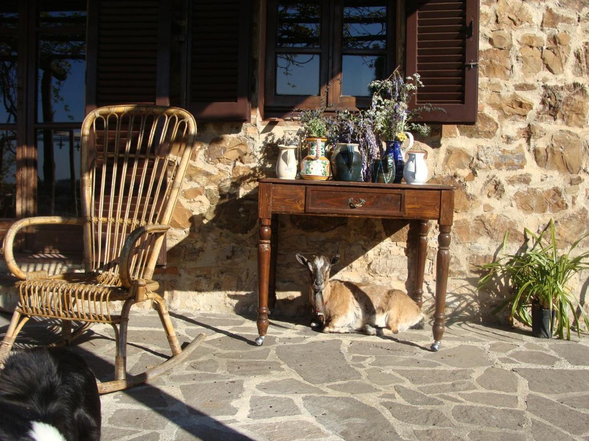 Nocini Di Maremma Villa Tatti Luaran gambar