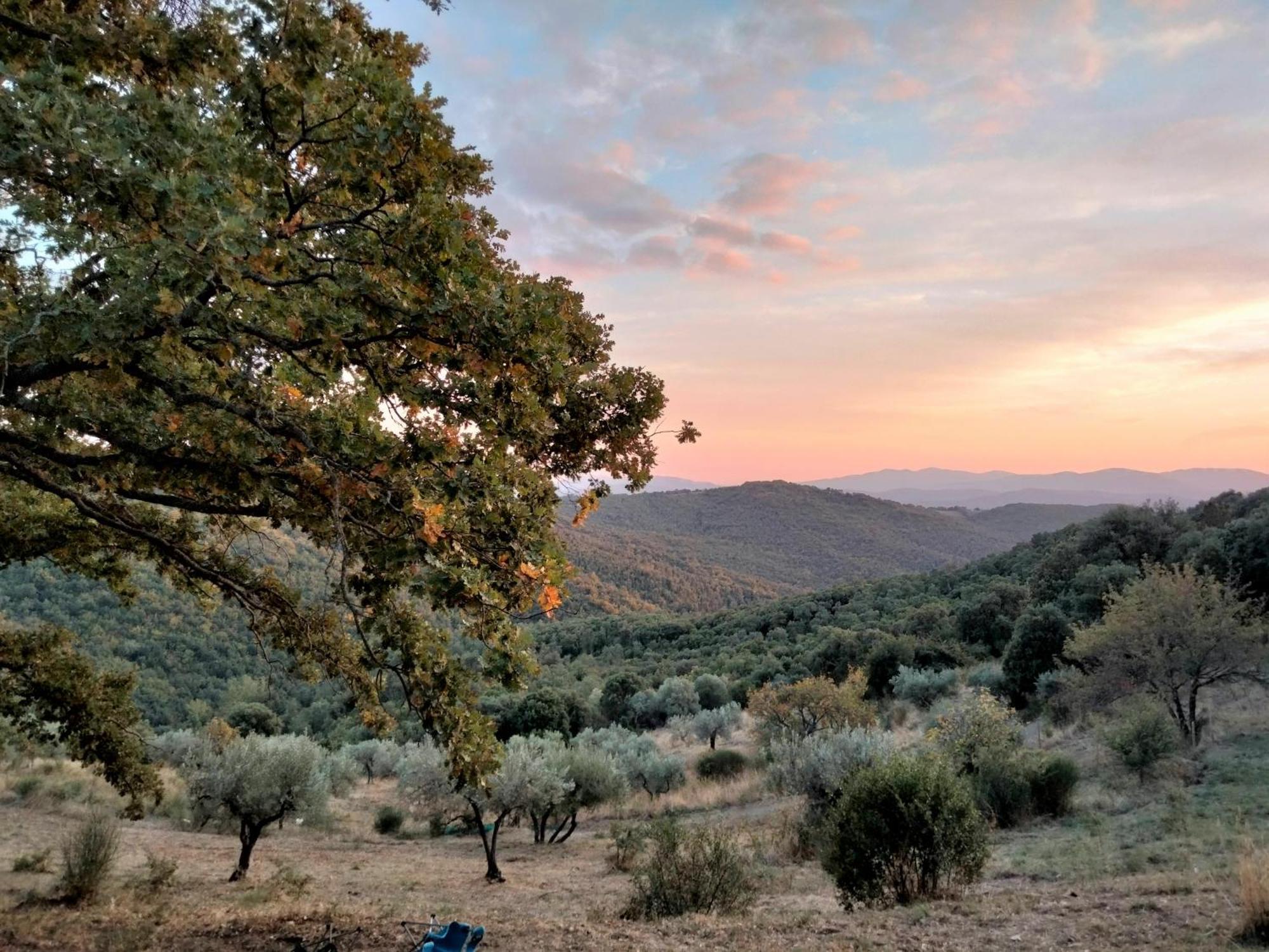 Nocini Di Maremma Villa Tatti Luaran gambar