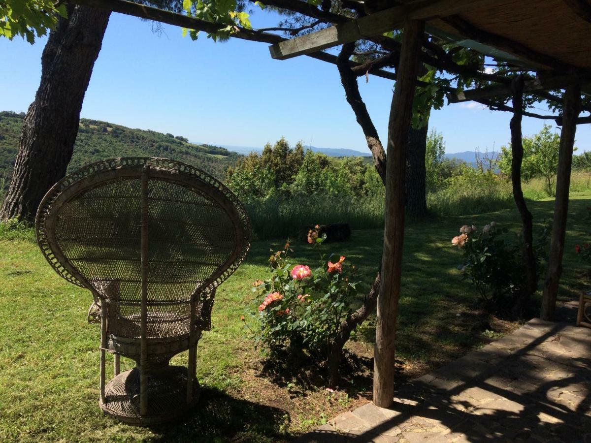Nocini Di Maremma Villa Tatti Luaran gambar